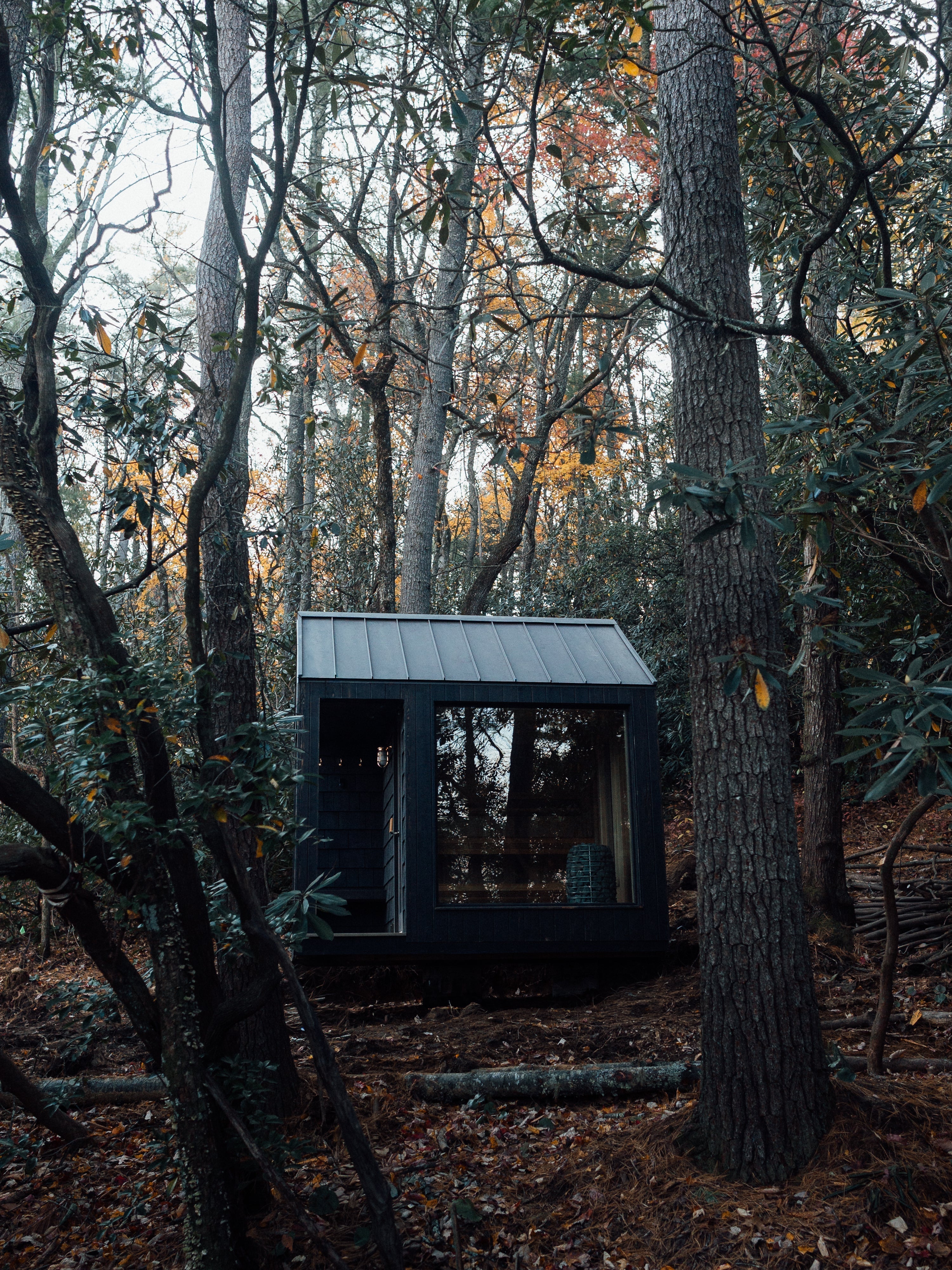 Blue Ridge Mountain Home